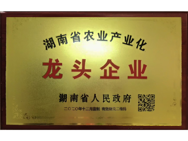 岳陽市漁之源食品有限公司,岳港漁都,洞庭魚港,散稱系列,田螺系列,臭豆腐加工，香豆腐加工，烤脖加工，魚仔,鴨排加工、雞丁加工代加工